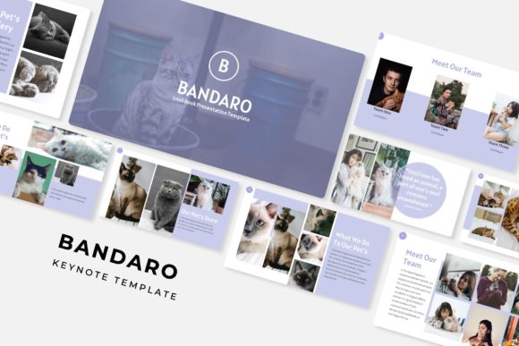 Bandaro Keynote Template: Modern Slides for Impact